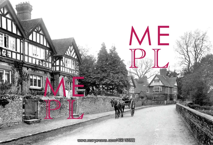  : Witley, the Village 1906