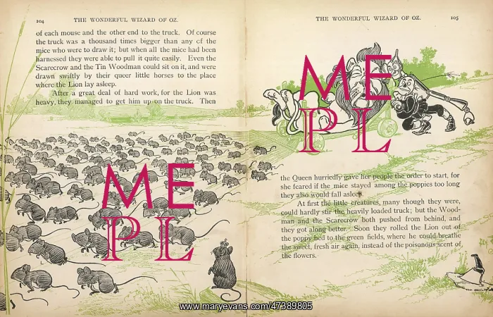 : WIZARD OF OZ / FIELD-MICE : WIZARD OF OZ / FIELD-MICE