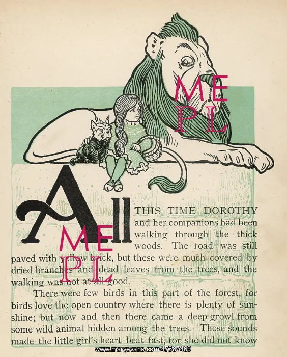 : WIZARD OF OZ / LION : WIZARD OF OZ / LION