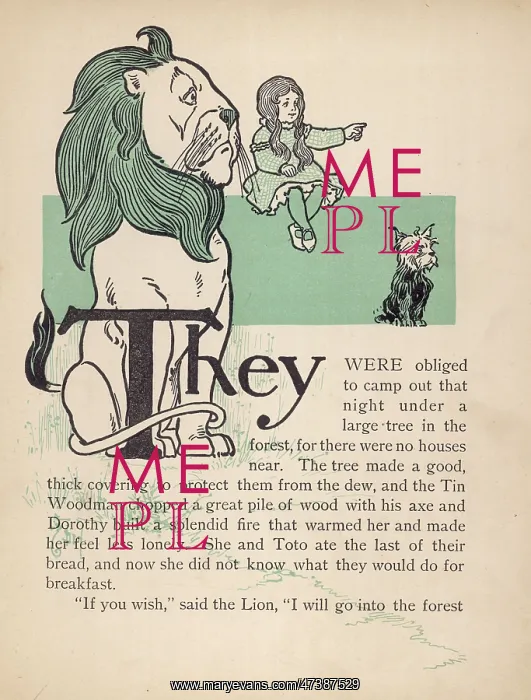 : WIZARD OF OZ / LION : WIZARD OF OZ / LION