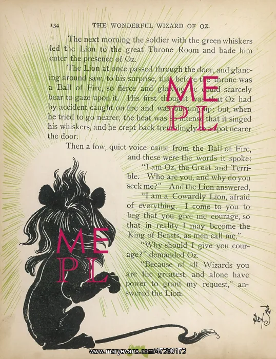: WIZARD OF OZ / LION AND OZ : WIZARD OF OZ / LION AND OZ