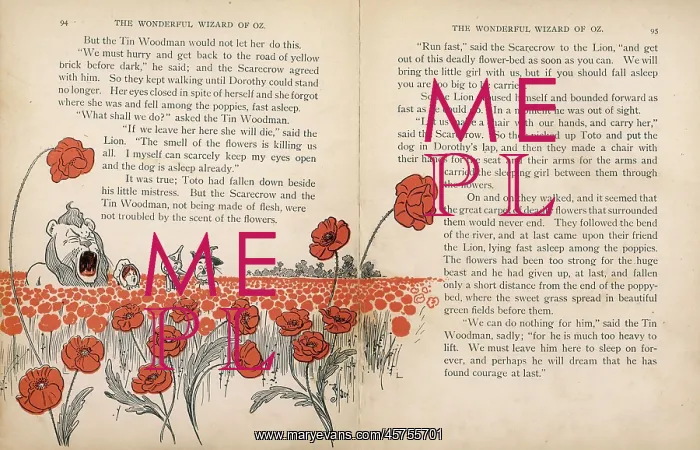 : WIZARD OF OZ / POPPY FIELD : WIZARD OF OZ / POPPY FIELD