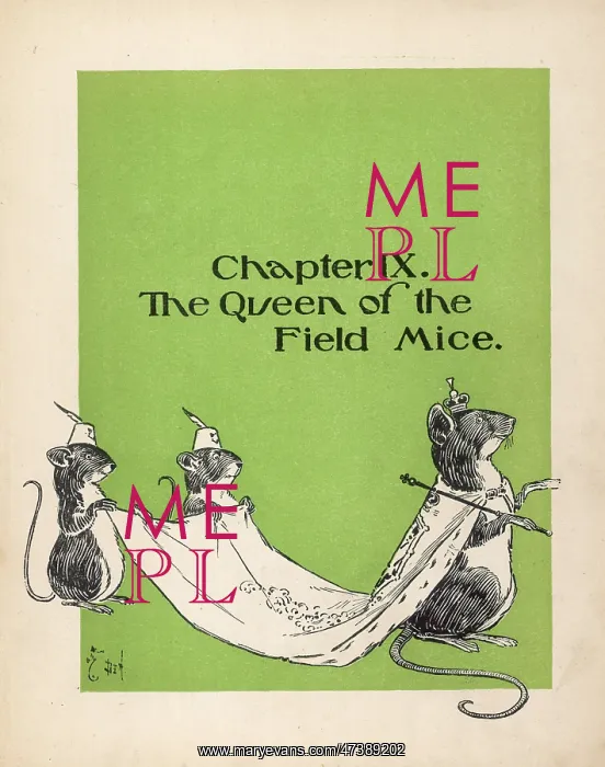 : WIZARD OF OZ / QUEEN : WIZARD OF OZ / QUEEN