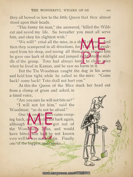 : WIZARD OF OZ / QUEEN : WIZARD OF OZ / QUEEN