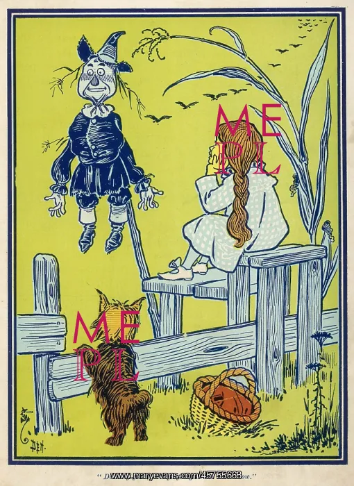 : WIZARD OF OZ / SCARECROW : WIZARD OF OZ / SCARECROW