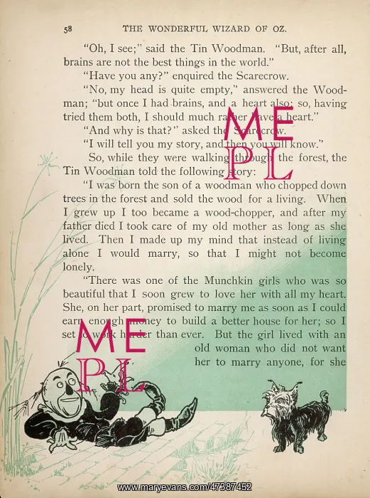 : WIZARD OF OZ / SCARECROW : WIZARD OF OZ / SCARECROW