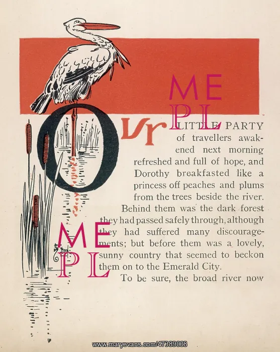 : WIZARD OF OZ / STORK : WIZARD OF OZ / STORK