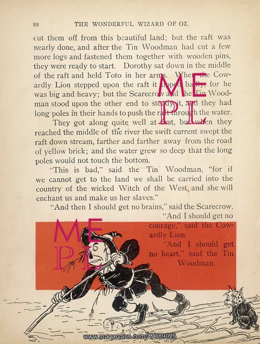 : WIZARD OF OZ / THE RAFT : WIZARD OF OZ / THE RAFT