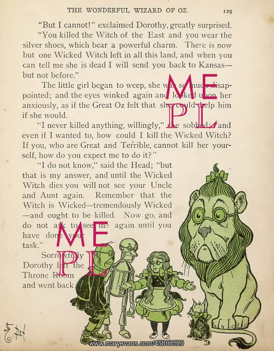  : WIZARD OF OZ / THE TASK