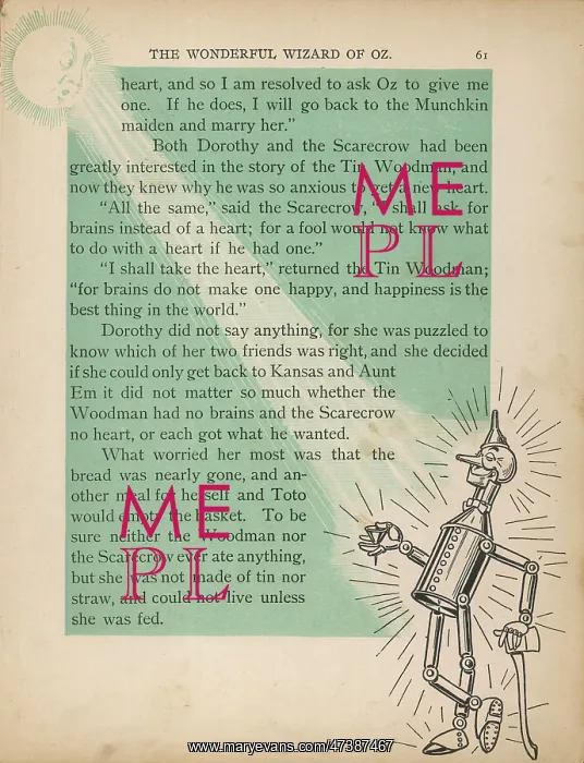 : WIZARD OF OZ / TIN MAN : WIZARD OF OZ / TIN MAN