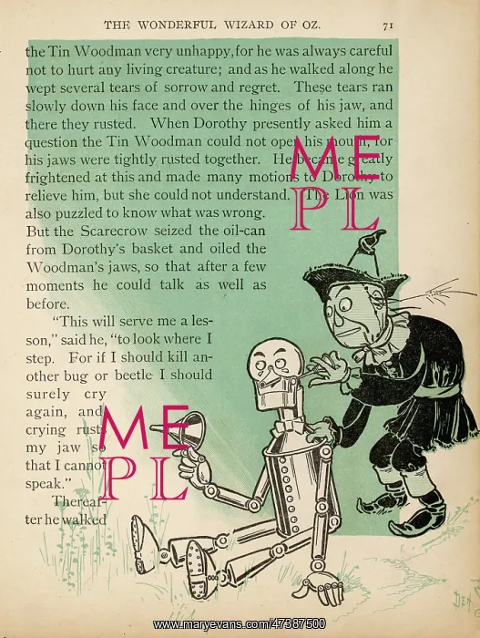 : WIZARD OF OZ / TIN MAN : WIZARD OF OZ / TIN MAN
