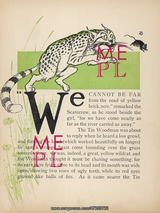 : WIZARD OF OZ / WILDCAT : WIZARD OF OZ / WILDCAT