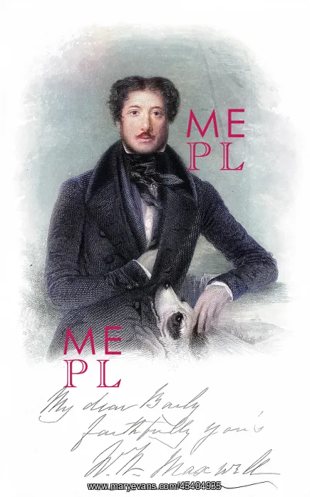  : WM. HAMILTON MAXWELL - 3