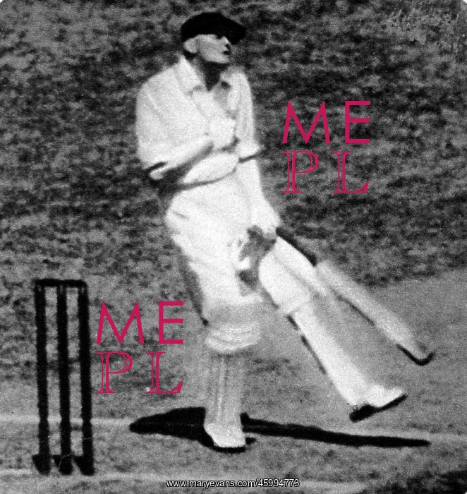 : W.M. Woodfull struck by a cricket ball, Melbourne Cricket Gr : W.M. Woodfull struck by a cricket ball, Melbourne Cricket Gr