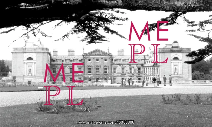  : Woburn Abbey, from the Cedars c1955