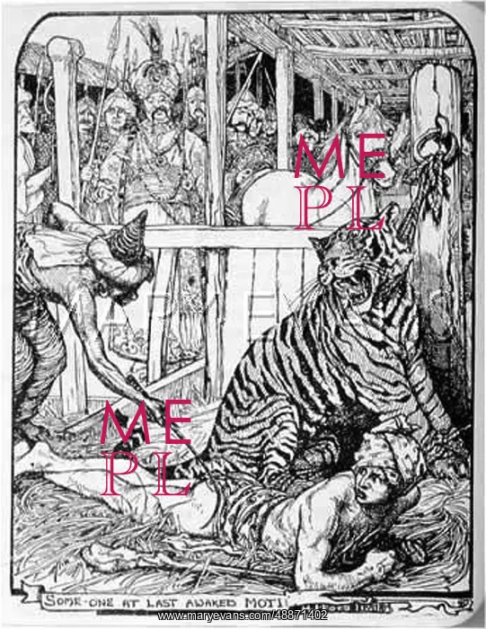 : WOKEN MAN AND TIGER : WOKEN MAN AND TIGER