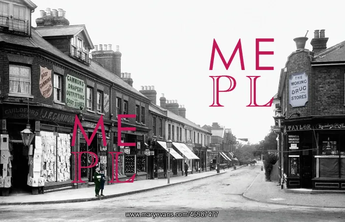 : Woking, Chobham Road 1902