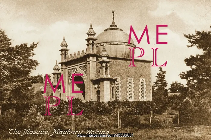 : Woking Mosque : Woking Mosque