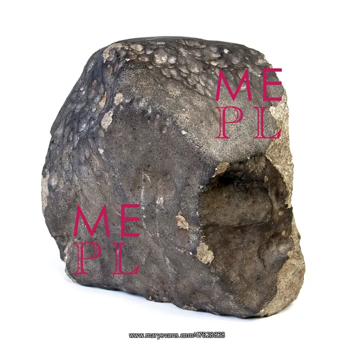 : Wold Cottage meteorite : Wold Cottage meteorite