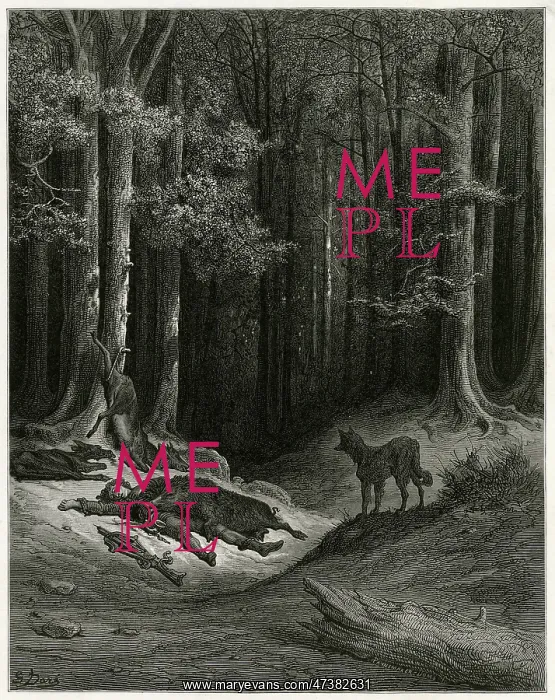 : The Wolf and the Hunter : The Wolf and the Hunter