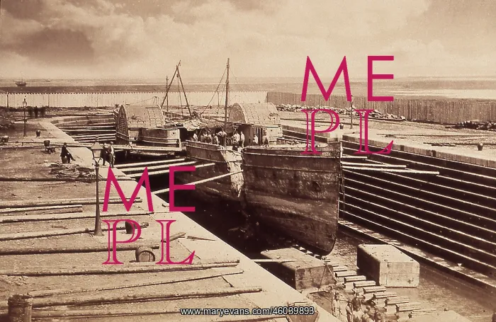 : Wolf, mail paddle steamer owned by J and G Burns : Wolf, mail paddle steamer owned by J and G Burns