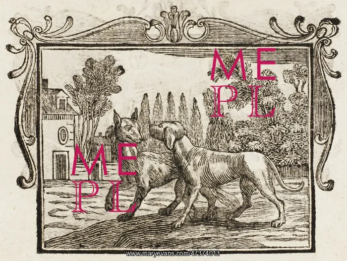 : The Wolf - the Mastiff : The Wolf - the Mastiff