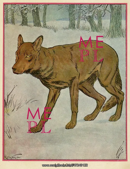  : WOLF  /  NEZIERE