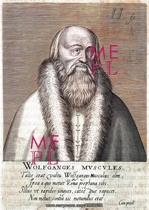 : WOLFGANG MUSCULUS - 3 : WOLFGANG MUSCULUS - 3