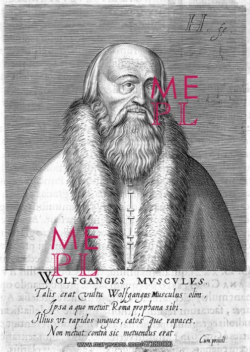 : WOLFGANG MUSCULUS - 3 : WOLFGANG MUSCULUS - 3