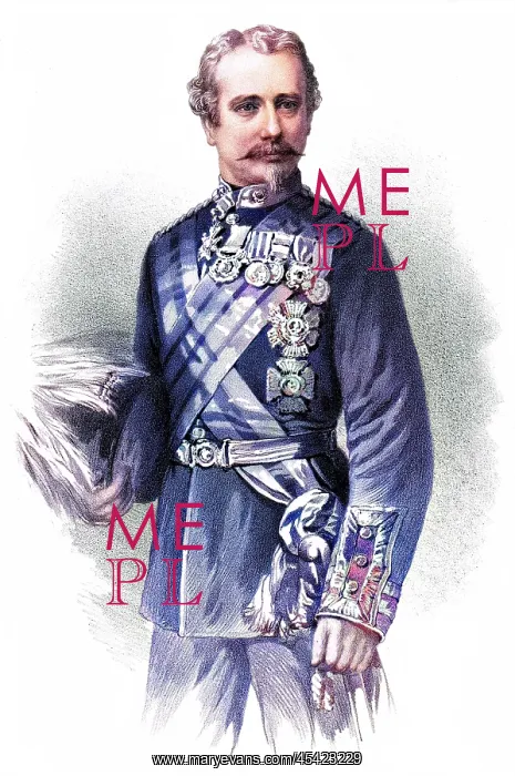  : WOLSELEY. GARNET JOSEPH, first viscount WOLSELEY (1833 - 1913), military commander