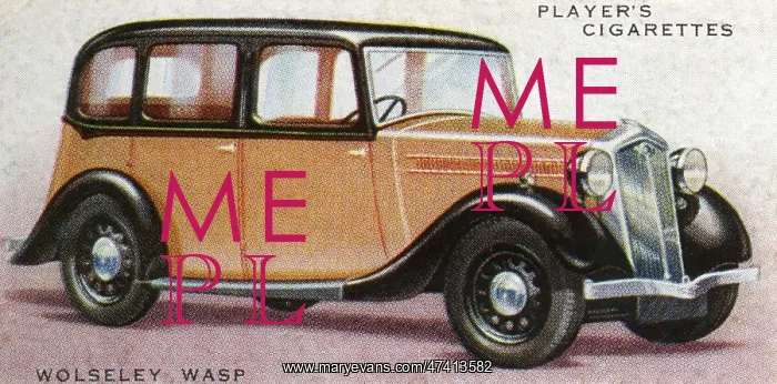 : Wolseley Wasp : Wolseley Wasp