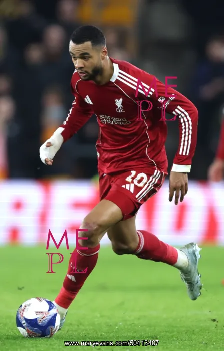 : Wolverhampton Wanderers v Liverpool - Emirates FA Cup Fifth Round : Wolverhampton Wanderers v Liverpool - Emirates FA Cup Fifth Round