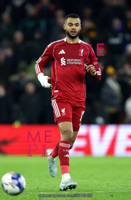 : Wolverhampton Wanderers v Liverpool - Emirates FA Cup Fifth Round : Wolverhampton Wanderers v Liverpool - Emirates FA Cup Fifth Round
