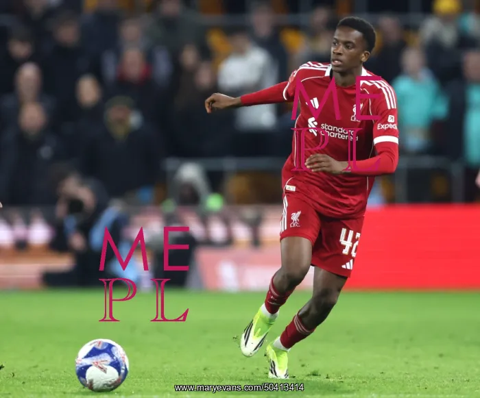 : Wolverhampton Wanderers v Liverpool - Emirates FA Cup Fifth Round : Wolverhampton Wanderers v Liverpool - Emirates FA Cup Fifth Round