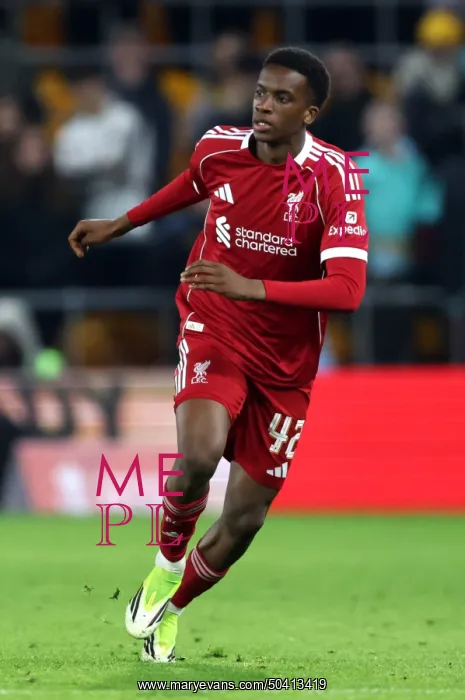 : Wolverhampton Wanderers v Liverpool - Emirates FA Cup Fifth Round : Wolverhampton Wanderers v Liverpool - Emirates FA Cup Fifth Round