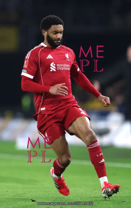 : Wolverhampton Wanderers v Liverpool - Emirates FA Cup Fifth Round : Wolverhampton Wanderers v Liverpool - Emirates FA Cup Fifth Round