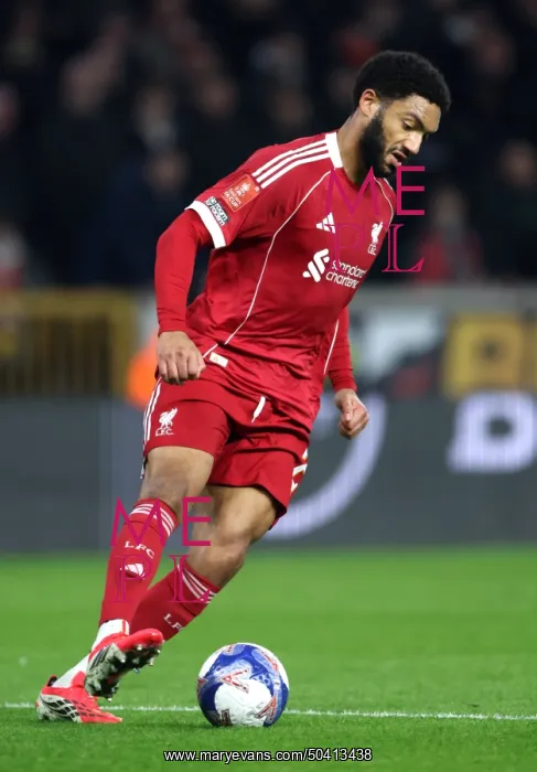 : Wolverhampton Wanderers v Liverpool - Emirates FA Cup Fifth Round : Wolverhampton Wanderers v Liverpool - Emirates FA Cup Fifth Round
