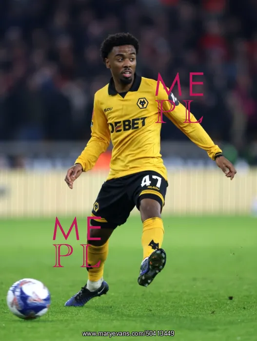 : Wolverhampton Wanderers v Liverpool - Emirates FA Cup Fifth Round : Wolverhampton Wanderers v Liverpool - Emirates FA Cup Fifth Round