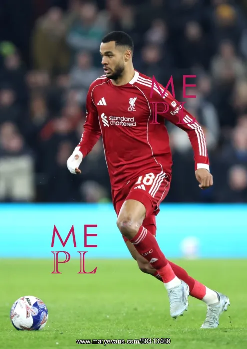 : Wolverhampton Wanderers v Liverpool - Emirates FA Cup Fifth Round : Wolverhampton Wanderers v Liverpool - Emirates FA Cup Fifth Round