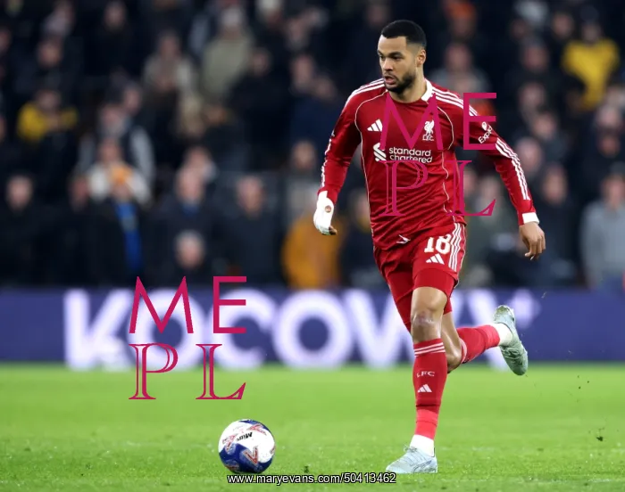 : Wolverhampton Wanderers v Liverpool - Emirates FA Cup Fifth Round : Wolverhampton Wanderers v Liverpool - Emirates FA Cup Fifth Round