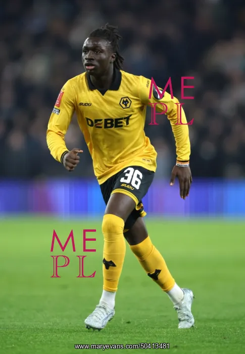 : Wolverhampton Wanderers v Liverpool - Emirates FA Cup Fifth Round : Wolverhampton Wanderers v Liverpool - Emirates FA Cup Fifth Round