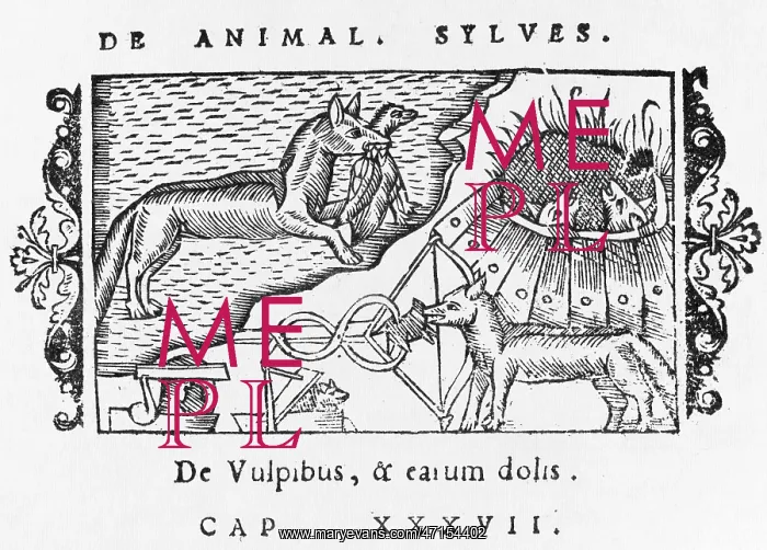 : Wolves in 16th century Scandinavia : Wolves in 16th century Scandinavia