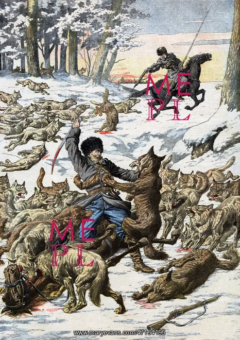 : Wolves attack Russian soldiers during war with Japan : Wolves attack Russian soldiers during war with Japan