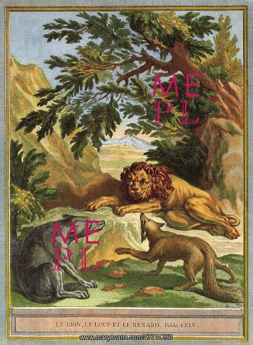  : Wolves with Lying Lion