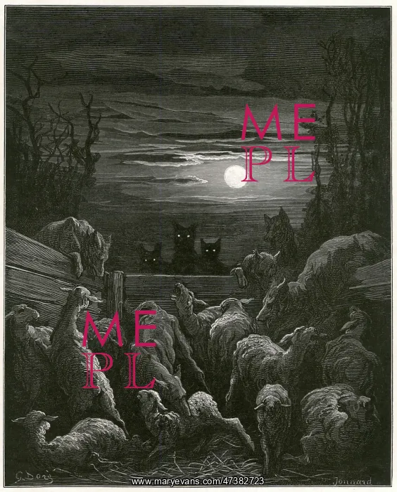 : The Wolves and the Sheep : The Wolves and the Sheep