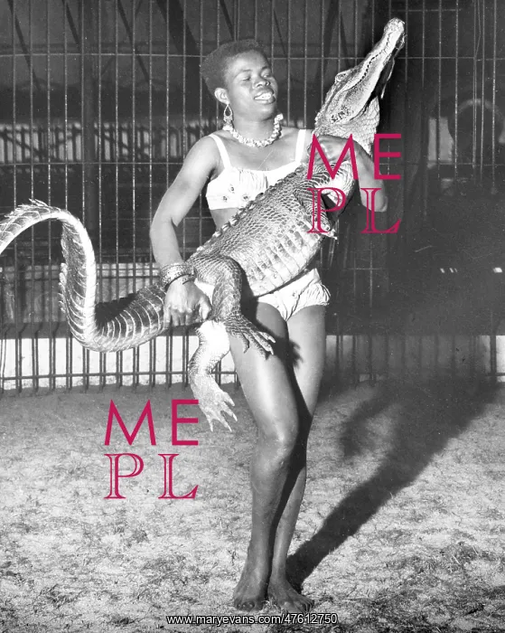 : Woman with alligator, Chipperfield's Circus : Woman with alligator, Chipperfield's Circus