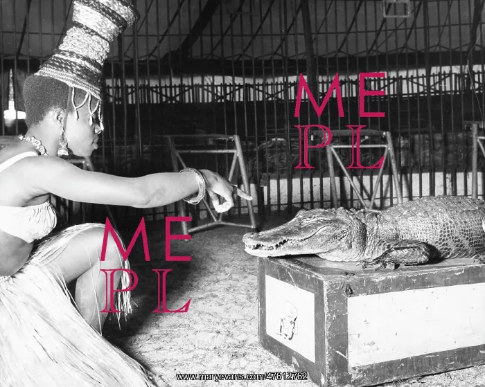 : Woman with alligator, Chipperfield's Circus : Woman with alligator, Chipperfield's Circus