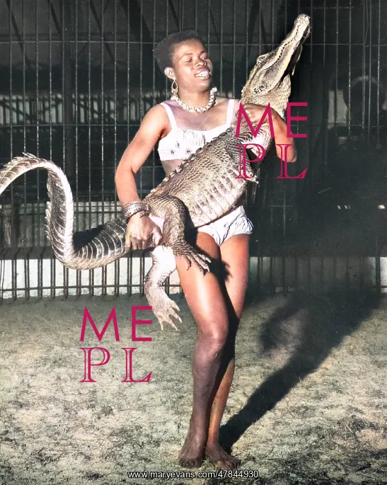 : Woman with alligator, Chipperfield's Circus : Woman with alligator, Chipperfield's Circus
