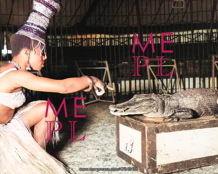 : Woman with alligator, Chipperfield's Circus : Woman with alligator, Chipperfield's Circus
