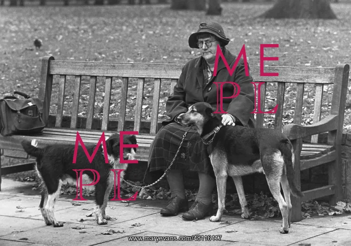 : Woman on a bench with two dogs : Woman on a bench with two dogs